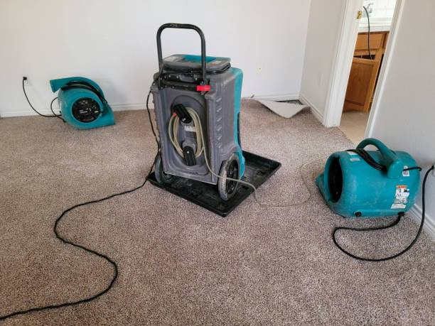 Best Sewage cleanup and water damage restoration  in New Boston, OH