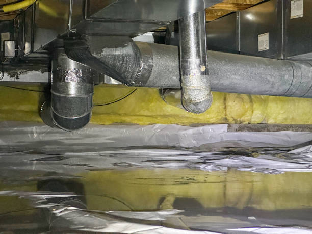 Best Flooded house restoration  in New Boston, OH