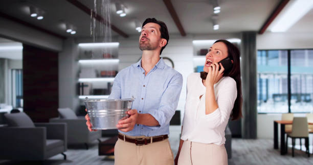 Best Water damage repair service  in New Boston, OH